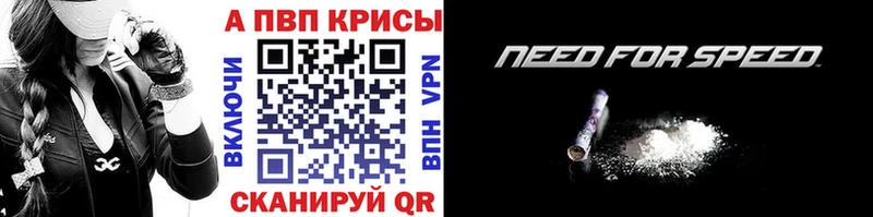 Альфа ПВП СК  Малгобек 