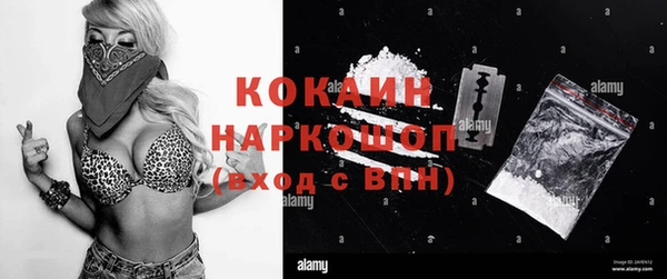 шишки Костерёво