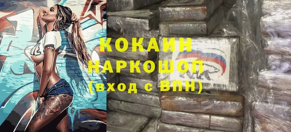 стаф Корсаков