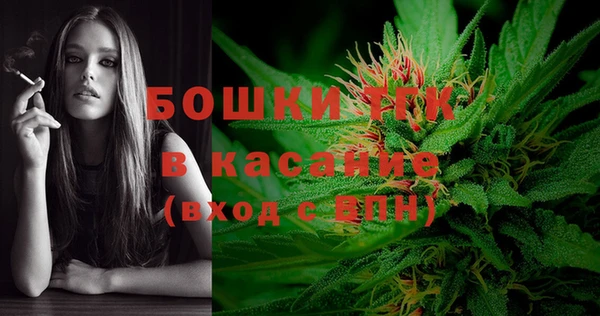 стаф Корсаков