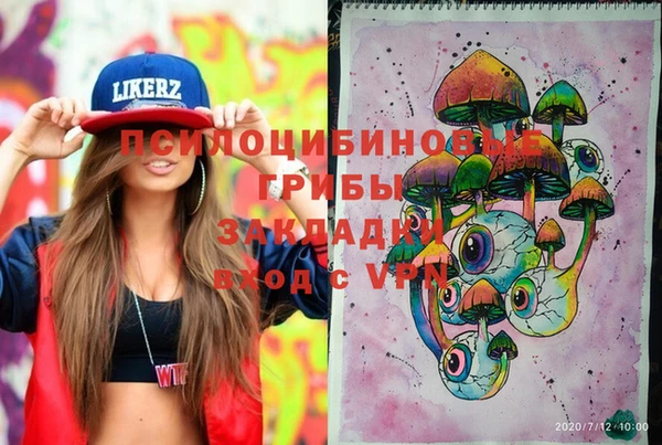 стаф Кукмор