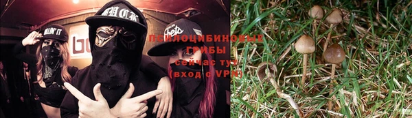 стаф Корсаков