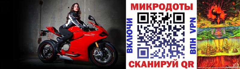 shop Telegram  Малгобек  Галлюциногенные грибы прущие грибы 