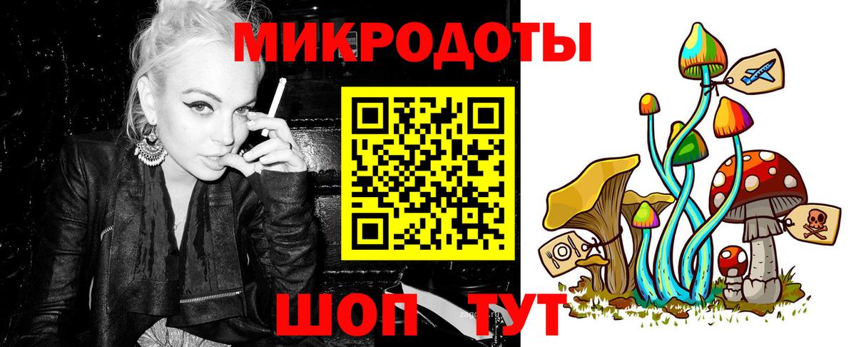 Псилоцибиновые грибы мицелий Малгобек