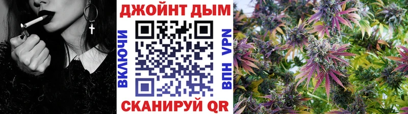 Конопля сатива  сколько стоит  Малгобек 